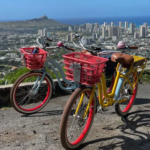 Classy Cruzin' E-Bikes, LLC Picture 3