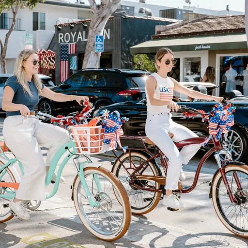 Classy Cruzin' E-Bikes, LLC Picture 8