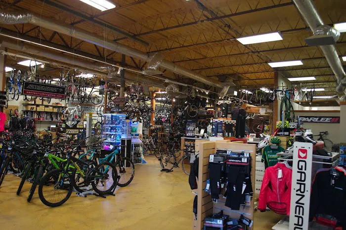 Reality Bikes Picture 2