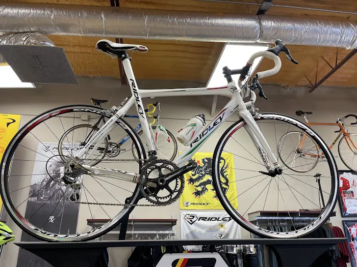 Reality Bikes Picture 7