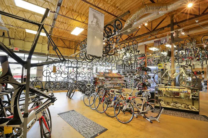 Reality Bikes Picture 5