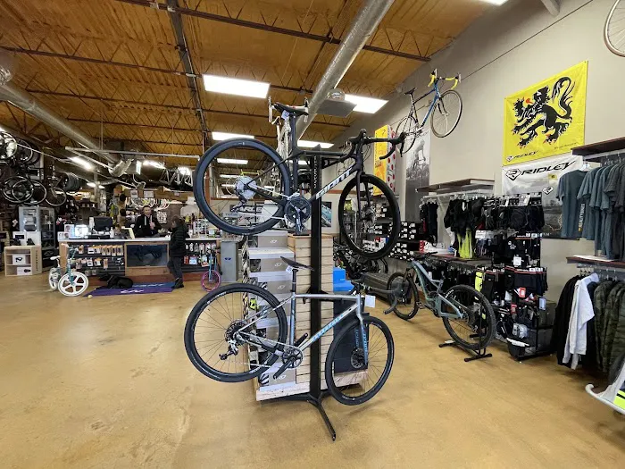 Reality Bikes Picture 6