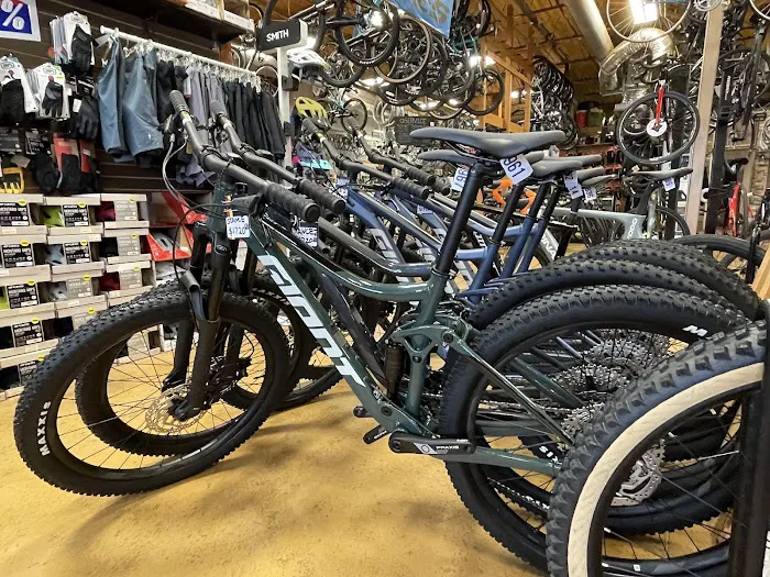 Reality Bikes Picture 4