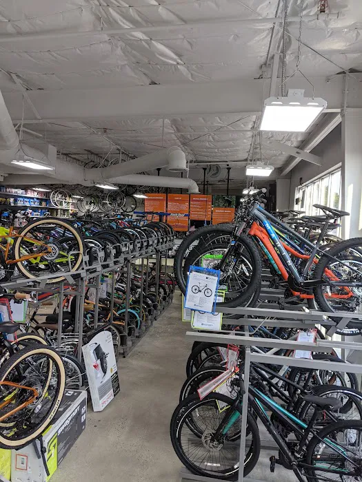Cartersville Bicycle Service & Supply Picture 6