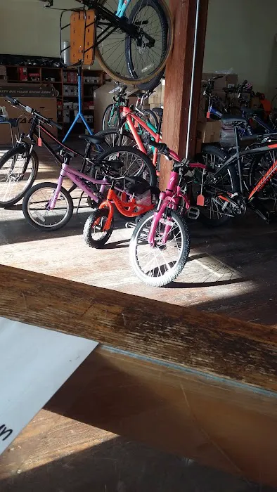 Ordinary Bicycles Picture 2