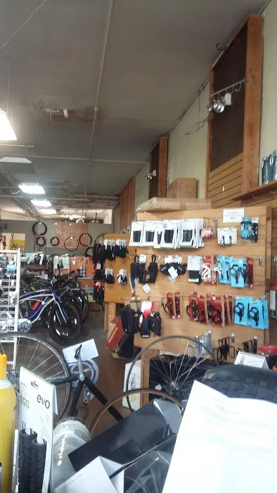 Ordinary Bicycles Picture 3