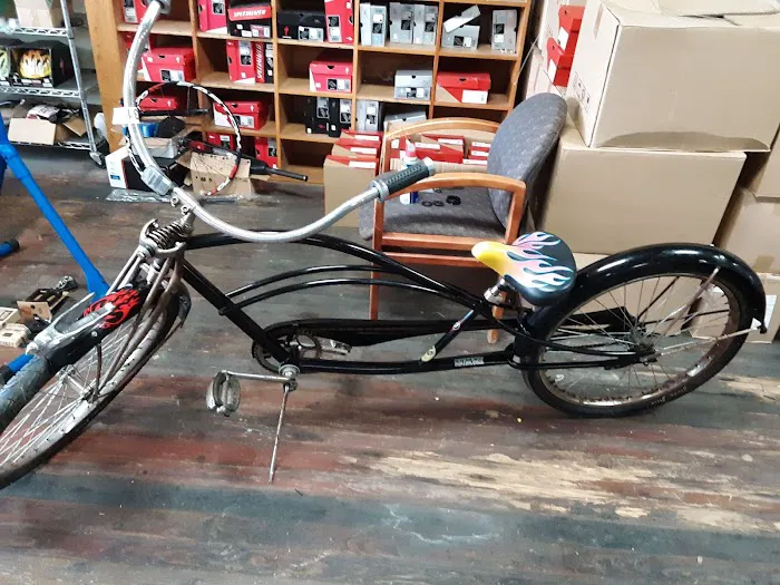 Ordinary Bicycles Picture 5