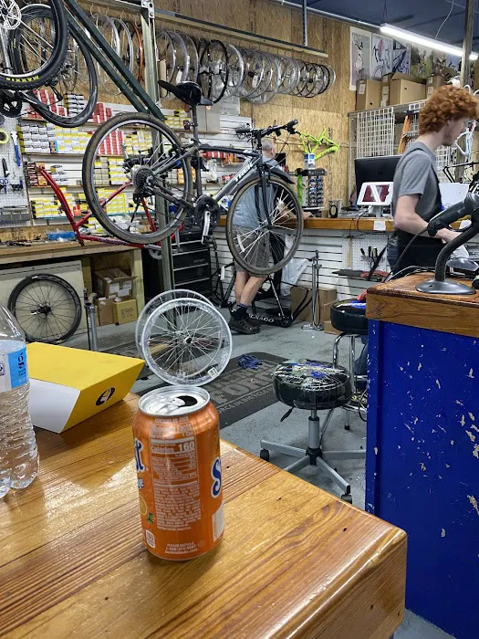 Apalachee Cycle Picture 10
