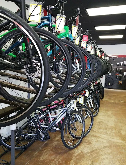 The Hub Bicycles Picture 10
