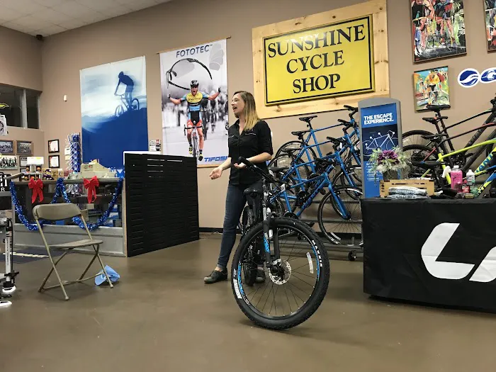 Sunshine Cycles Picture 2