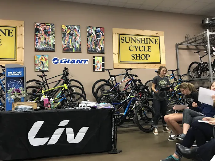 Sunshine Cycles Picture 6