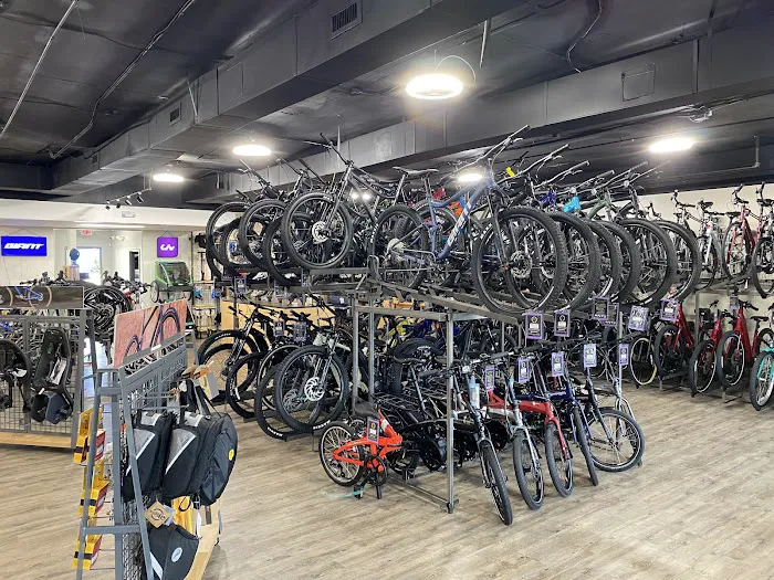 Charlotte Cycles - Sales & Service Picture 2