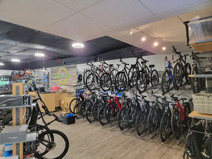 Charlotte Cycles - Sales & Service Picture 7