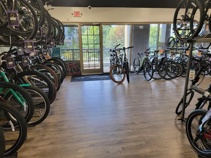 Charlotte Cycles - Sales & Service Picture 8