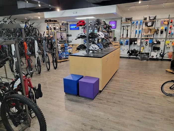 Charlotte Cycles - Sales & Service Picture 10