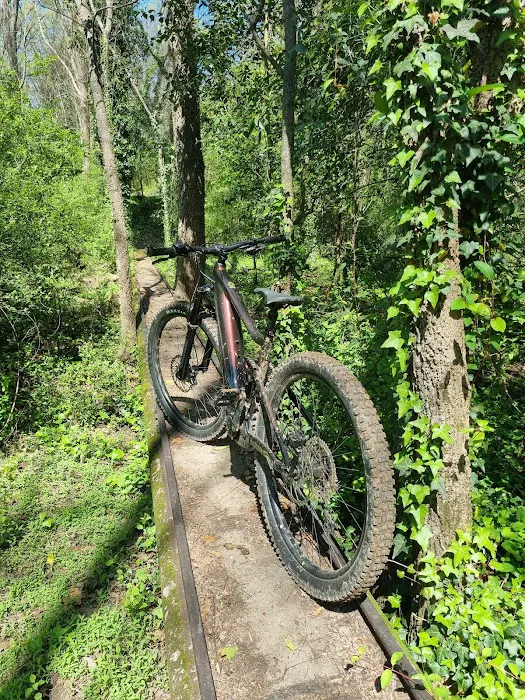 Charlotte Cycles - Sales & Service Picture 9