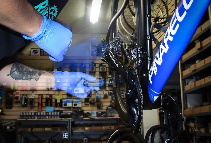 The Bike Gallery Picture 2