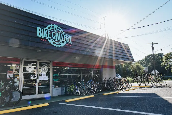 The Bike Gallery Picture 5