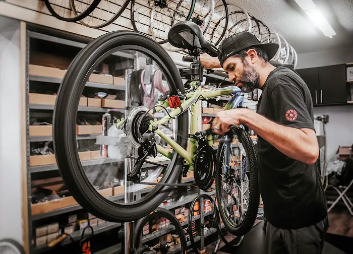 The Bike Gallery Picture 7