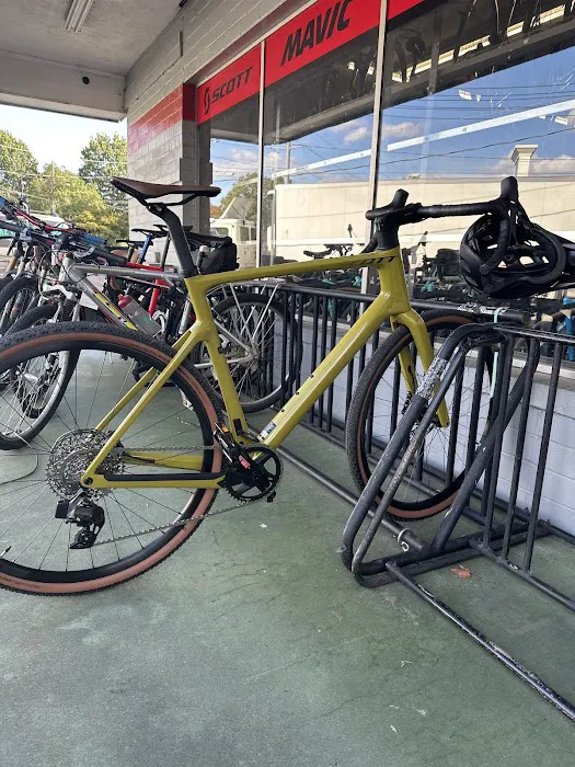 The Bike Gallery Picture 10