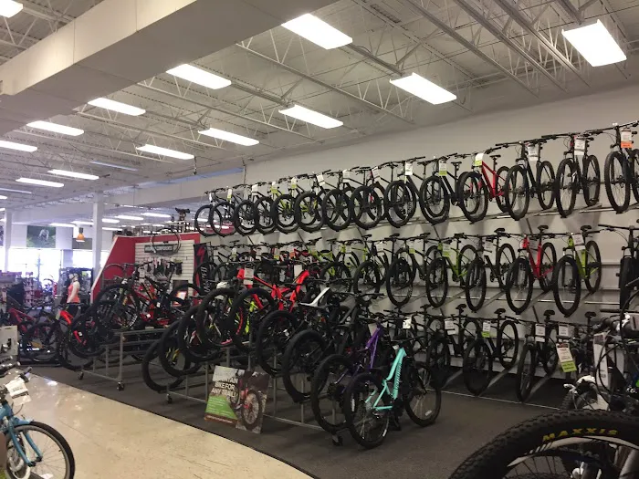 Bikesource Charlotte Picture 5