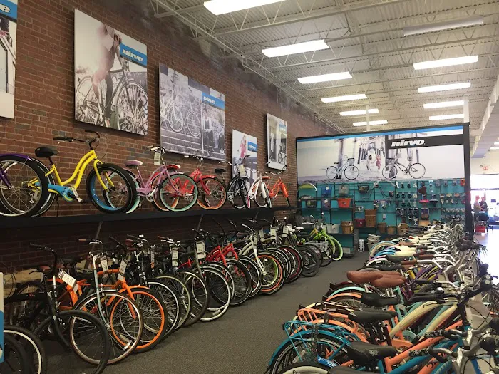 Bikesource Charlotte Picture 7