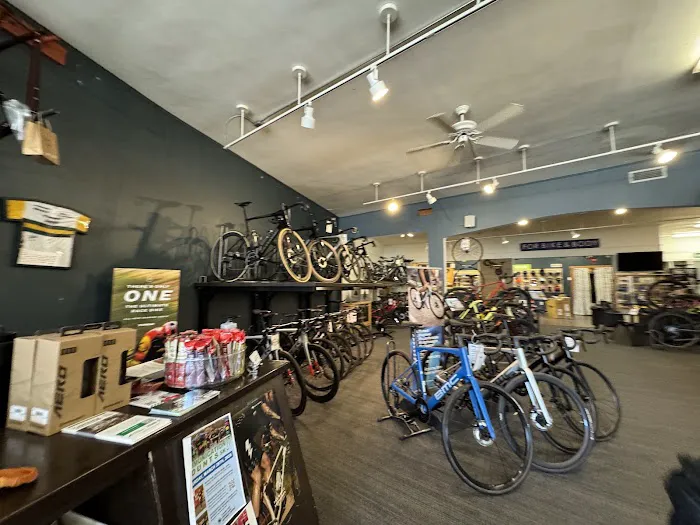 Bicycle Sport Picture 2
