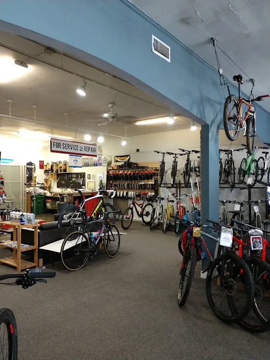 Bicycle Sport Picture 3