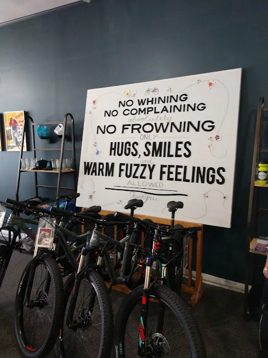 Bicycle Sport Picture 4