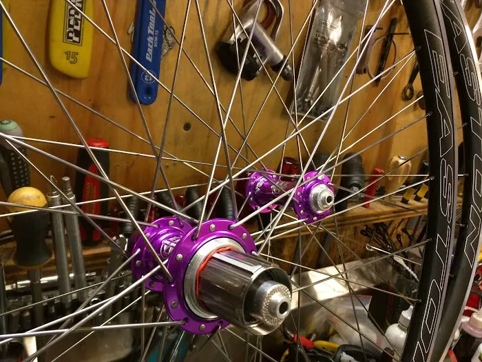 Bicycle Sport Picture 9