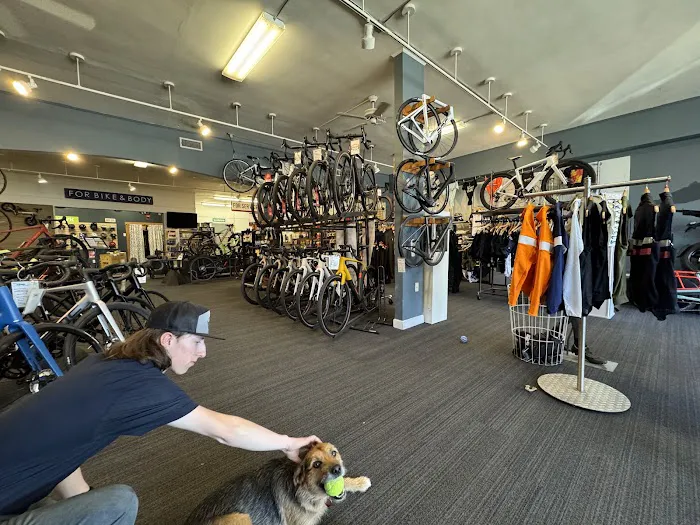 Bicycle Sport Picture 8