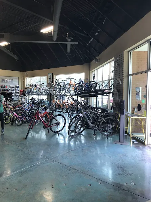Ultimate Bicycle Picture 3