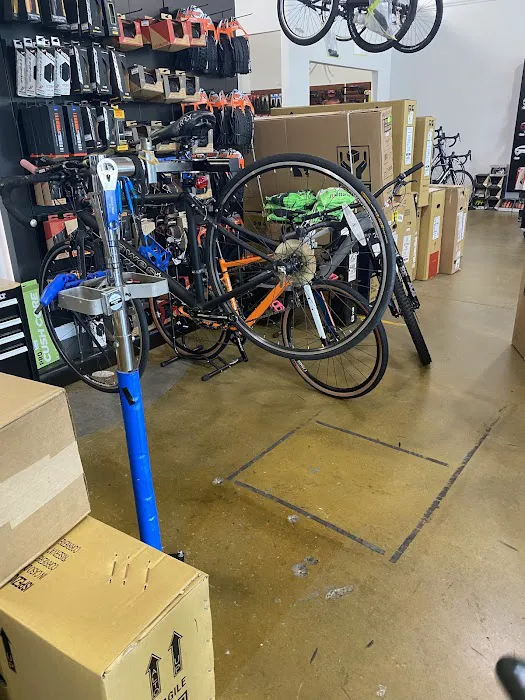 Conte's Bike Shop Picture 2
