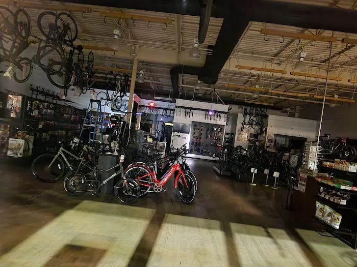 Conte's Bike Shop Picture 5