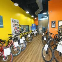 Pedego Electric Bikes Lake Norman ico