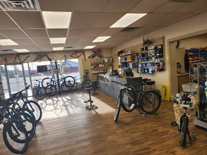The Right Gear Bicycle Shop Picture 2