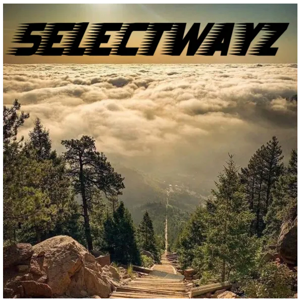 SelectWayz LLC Picture 4