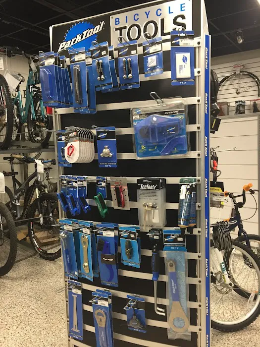 Excite Bikes Picture 2