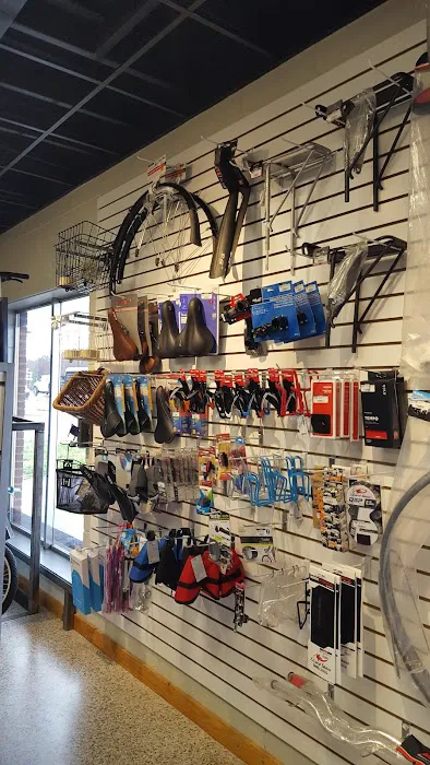 Excite Bikes Picture 9