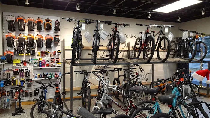 Excite Bikes Picture 6