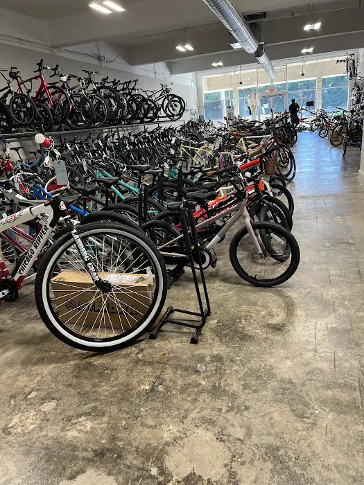 All About Bikes Picture 1
