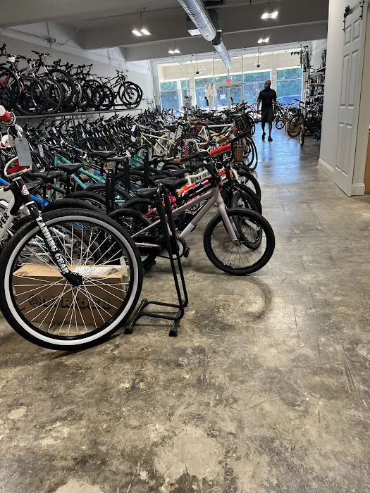 All About Bikes Picture 3
