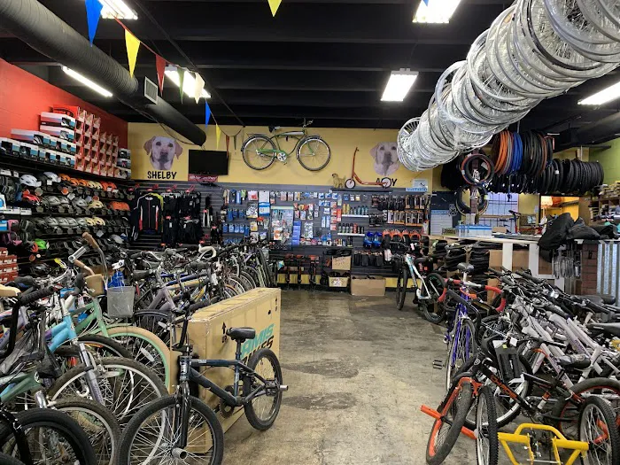 All About Bikes Picture 8