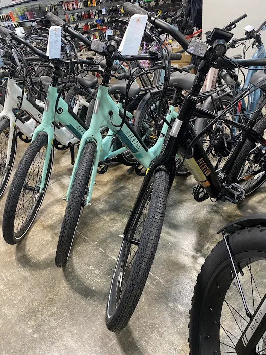 All About Bikes Picture 7