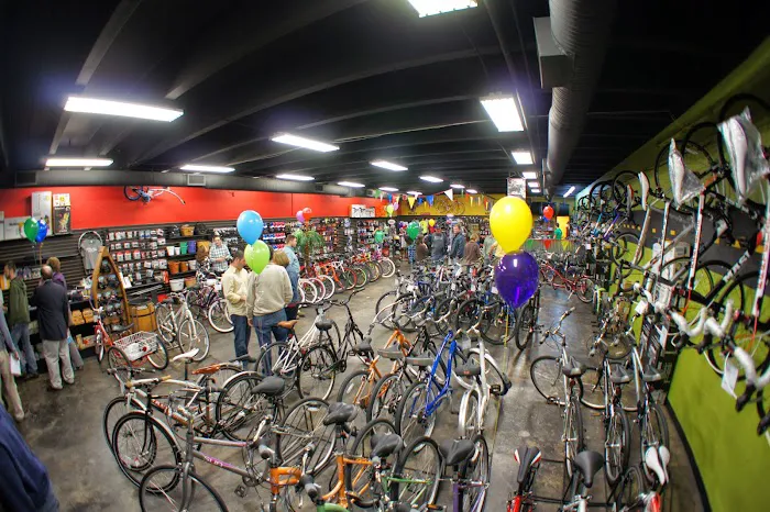 All About Bikes Picture 6