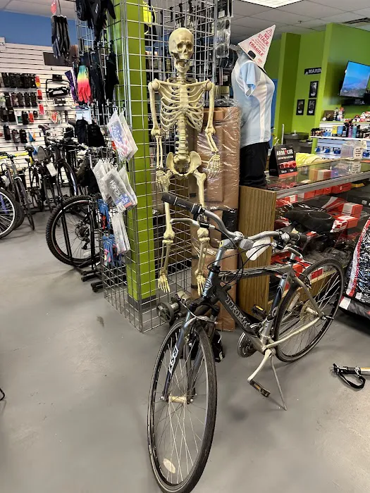Bike the Planet Picture 5
