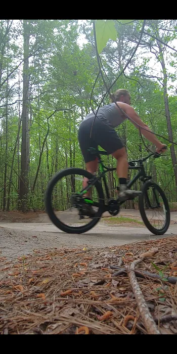 Freewheelin Bike Shop Picture 10