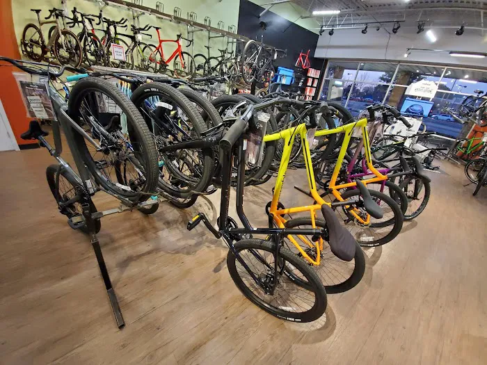 Conte's Bike Shop Picture 4