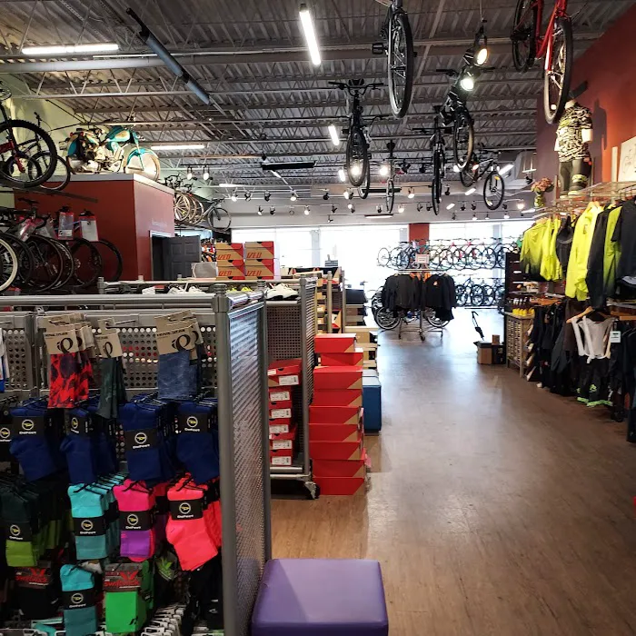 Conte's Bike Shop Picture 5