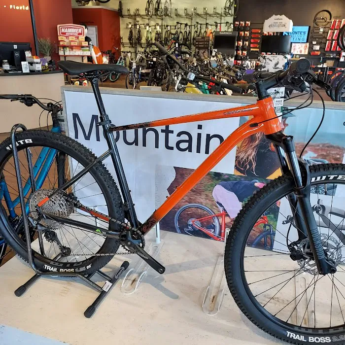 Conte's Bike Shop Picture 1